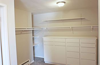 Lexington Hills closet, St. Paul, Minnesota